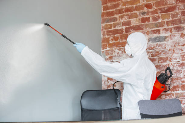 Best Asbestos and Lead Testing During Mold Inspection  in Sixteen Mile Stand, OH