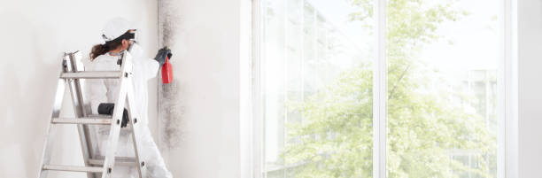 Best Commercial Mold Inspection  in Sixteen Mile Stand, OH